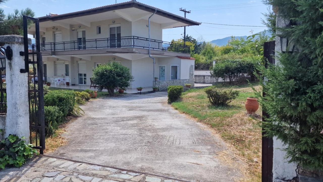 Modern Sea Villa In Leptokaria Bagian luar foto